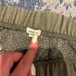 Aerie Olive Green  joggers/ sweatpants Photo 4