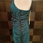 Capulet  Sierra Jade tiger print mini dress Photo 4