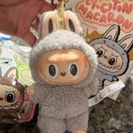 The Monsters Labubu Gray Photo 0