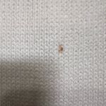 House of Harlow 1960 Cream Crochet Midi Skirt - Size Small Photo 2