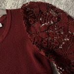 Petal and Pup  Photo 2