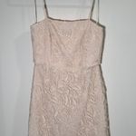 Light Pink Nordstrom’s NSR Mini Dress Size M Size M Photo 0