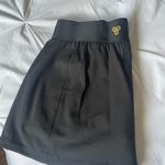 Aritzia  skirt Photo 2