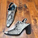 Free People  Silver Storm Mules in Snakeskin Leather 6.5 Photo 4