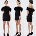 Rachel Gilbert Zion Mini Dress in Black with Feather Trim Size US 4 Photo 12