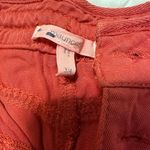 Maurice's High waisted shorts Photo 2