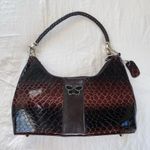 Snake skin Purse Photo 1