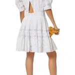 Maje  White Lace Embroidered Floral Eyelet Mini Dress Size: 2 Photo 2