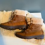 UGG  Nadja Chestnut Suede Waterproof Boots Photo 4