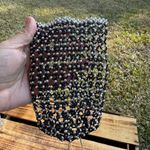 Beaded Phone Holder Beads in Mesh‎ Pattern Crossbody Black Silver Photo 1
