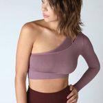 💕AVOCADO💕 Mercury Long Sleeve Crop Top One Shoulder Vintage Antique Lilac NWT Purple Size XL Photo 0