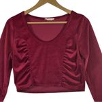 Altar'd State Altar’d State V-Neck Crop Top Womens M Maroon Red Velvet Long Sleeve Ruched Photo 1