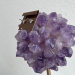 Vintage Hypo Photo 3