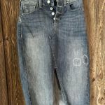 Ariat  Jean Skirt Photo 0