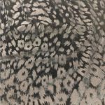 Mudd  Burnout Velvet Black Bodycon Mini Skirt NWT Size S Juniors Photo 1