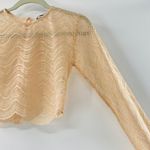 ZARA NEW  Beige Wavy Lace Scallop Hem Sheer Knit Long Sleeve Crop Top Small Y2K Photo 7