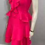 Hot Pink Ruffle Fit N’ Flare Dress Small Photo 5