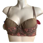 Massam Size Medium Brown Embroidered Padded Underwire Bra. Made in Brazil. New Photo 0