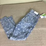 Ella Moss  women High waisted skinny cropped jeans Sz. 25 NWT Blue Trendy Y2K Photo 3