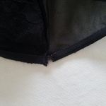 Brandy Melville Sheer Crop Top Bralette Photo 3