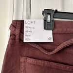 Loft Ann Taylor NWT Belted High Rise Wide Leg Jeans In Iced Espresso 32/14 New Photo 11