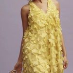 Anthropologie  Maeve Sleeveless Floral Appliqué Mini Dress Photo 2