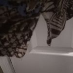 Westbound FINAL MARKDOWN Decorative  top medium Photo 8