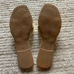 Seychelles  Shades of Cool Flat Sandal Gold NWT Size 7.5 Photo 4