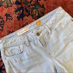 Pilcro •Pilco and the Letterpress Stet skinny jean• 27 Photo 3