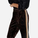 Johnny Was  Velvet Leopard Print Silk Blend Pull On Side Stripe Joggers Large Photo 0