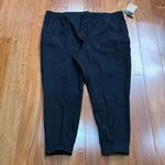 The North Face NWT  Women’s Black W Laterra Utility Jogger size 3X Photo 3