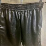 Babaton #122 ARITZIA  High Waist Leather Shorts Photo 2
