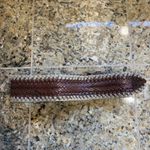 Motif 55 Brown Braided Leather Wide Boho Festival Belt Womens Medium Accessory Photo 5