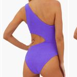 Beach Riot  Celine Cutout One-Shoulder One-Piece Swimsuit Photo 1