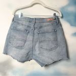 Denizen from Levi's Levi’s Denizen high rise shorts Photo 3