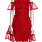 Maje  red mesh dress with ruffle sleeves and pleated detailing Size 2/EU38 Photo 2