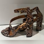 Madden Girl Hansleyy Snake Skin Block Heel Almond Toe 3-Strap Sandals Size 8 Photo 5