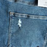 Sonoma NWT!  Medium Wash Distressed High Rise Shorts Size 24W Photo 4