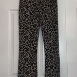 Urban Outfitters Leopard Print Pants Photo 1