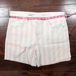 Pilcro Anthropologie Striped Shorts Size 30 Photo 7