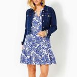 Lilly Pulitzer Alyssa A Line Cotton Dress in Deeper Coconut Ride With Me Large Photo 3