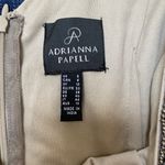 Adrianna Papell Beaded Homecoming Dress Photo 4