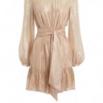 Intermix  Margot Metallic Silk Georgette Mini Dress NWT Size 4 Photo 2