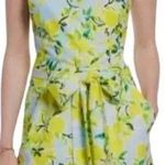 1901 NWOT Lemon print linen dress Photo 0