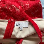 Revolve 🛎️ 5/$20 NWT  By the Way Lace Overlay Mini Dress Size XXS Photo 2