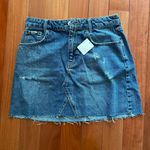 BDG Urban Outfitters Skirt Photo 0