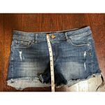 DL1961  Karlie Boyfriend Denim Short Bluegrass Size 29 Photo 7
