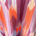 prAna Grapevine Gemstone Calico dress S Photo 5