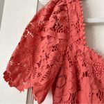 Saylor  Louisa MIDI Lace Dress in Coral Size Small EUC Photo 5
