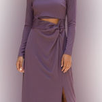 Elegant Purple Long Sleeve Dress Photo 0